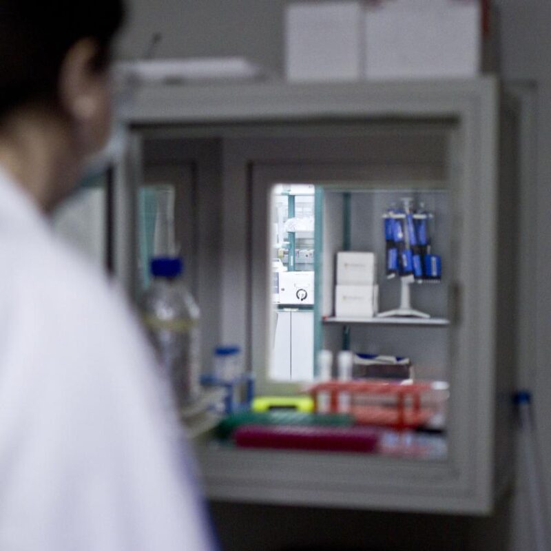 Epigenetic differences in the DNA